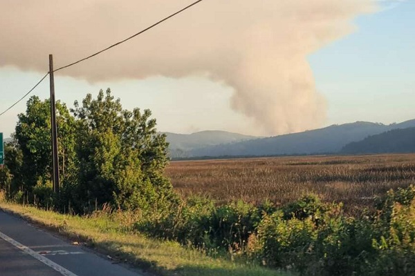 Incendio forestal afecta 100 hectáreas del sector La Plata – Los Ulmos